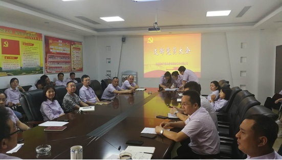 市人社局各支部6月份主题党日活动集锦461