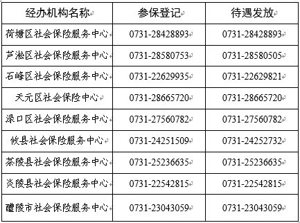 微信截图_20241218104656